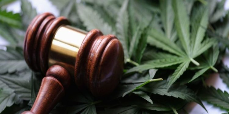Cannabis Crossroads: Record US Demand Meets Federal Gridlock