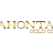 Lahontan Gold Corp.