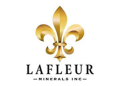 LaFleur Minerals Provides Update on Confirmation Drilling for PEA at Swanson Gold Deposit and Beacon Gold Mill, Val-d’Or, Québec