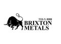 Brixton Metals Defines New Exploration Targets at Thorn Through Geochemical Sampling